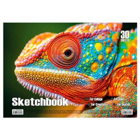 Альбом для малювання "Хамелеон" 30 аркушів, пружина KT13022504 Jumbi (9789655323269)