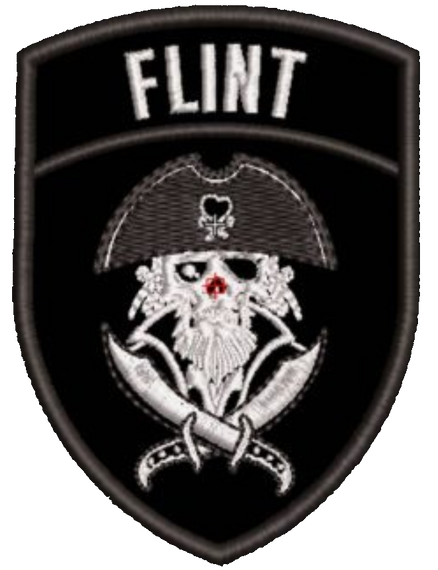 Шеврон Flint