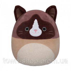 Мягкая игрушка Squishmallows – Кот Вудворд (30 cm)