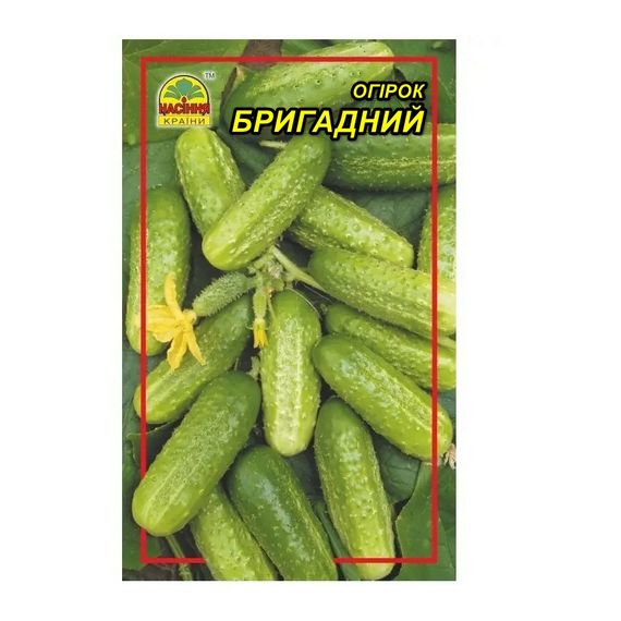 Насіння огірка Бригадний 0,5 г (Насіння країни)
