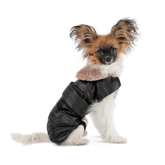 Попона Pet Fashion Ted для собак чорний/сірий XS2 | Зображення 2