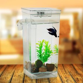 Акваріум самоочисний 2л, з LED підсвічуванням, My Fun Fish / Маленький акваріум для рибок з удароміцного пластику