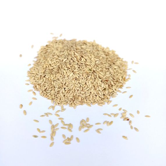 Насіння огірка Засолочний 0,5 г (Насіння країни) | Зображення 1