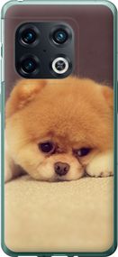 Чехол на OnePlus 10 Pro Boo 2 "890u-2588-17620"