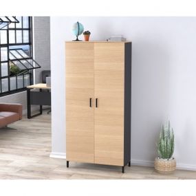 Шкаф офисный Loft Design LT-900-1900 антрацитборас