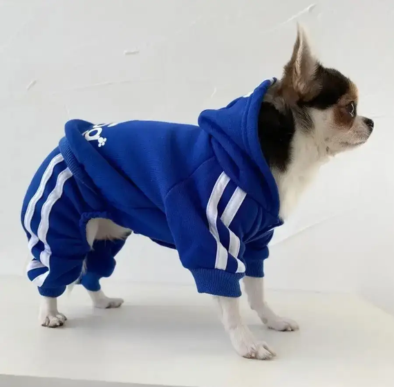 Костюм спортивний для собак Adidog синій XL | Зображення 4