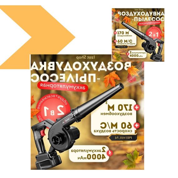 Беспроводний електричний воздуходувка-пилосос 2 в 1 з потужністю 3000 Вт та легкий (3,5 кг) XPRO LY-4 (45519-LY-4_691) | Зображення 1