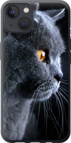 Чехол на iPhone 13 Красивый кот "3038u-2374-17620"