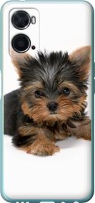 Чехол на Oppo A76 Щенок йоркширского терьера "931u-2760-17620"