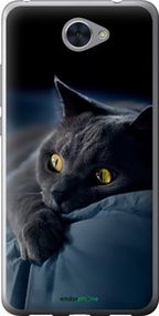 Чохол на Huawei Y7 2017 Димчастий кіт "825u-1019-2448"