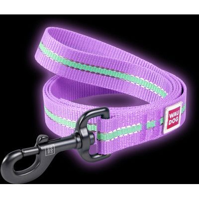 Поводок для собак WAUDOG Nylon светонакопительный L Ш 25 мм фиолетовый (45759) | Зображення 3