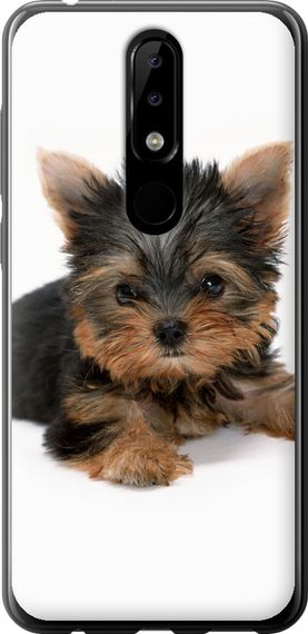 Чехол на Nokia 5.1 Plus Щенок йоркширского терьера "931u-1543-17620"