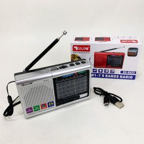 Радіоприймачі з MP3 плеєром MP3 USB Golon RX-6622, Радіоприймачі від мережі, Найпростіший радіоприймач FJ-94