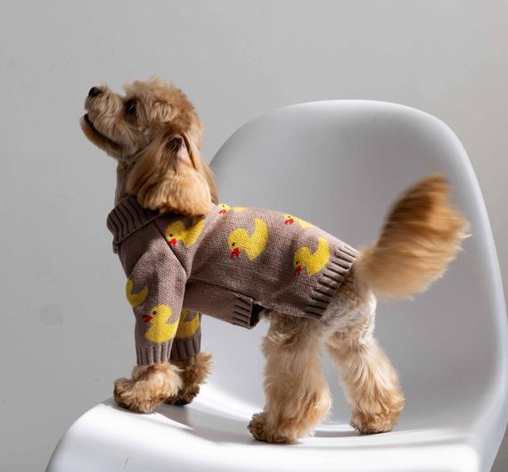 Светр в'язаний Каченята какао Y-344 | Зображення 1