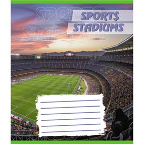 Тетрадь ученическая "Стадион" 018-540260L-2 в линию, 18 листов (959054)