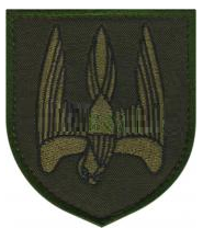 Шеврон батальйон "Донбас" (олива)