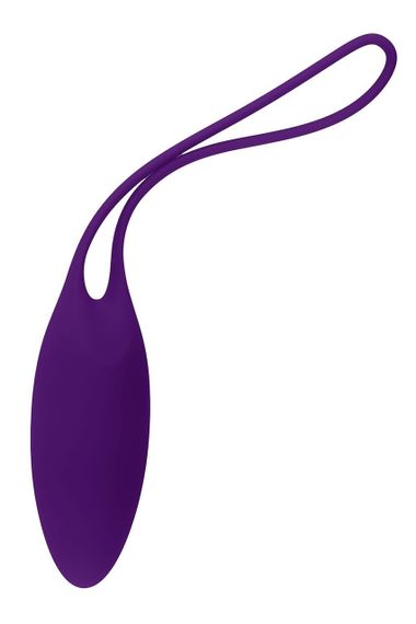 Набір тренажерів Кегеля Evolved Playboy Put In Work 4 вагінальних яйця, фіолетовий Sex Aura | Зображення 1