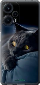 Чохол на Xiaomi Redmi Note 12 Turbo Димчастий кіт "825u-3025-2448"