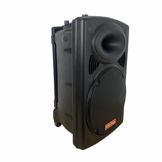 Акумуляторна акустична система XPRO  BT-120D  колонка валіза 150Вт USB, SD, FM радіо, Bluetooth, 2 радіомікрофона, ДУ чорна (4382) | Зображення 1