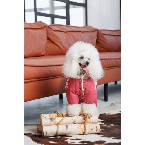 Комбінезон Pet Fashion Cherry S2 дівчинка для собак | Зображення 6