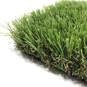 Декоративна трава CCGrass Soft 35 2м.