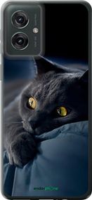 Чохол на Motorola Moto G55 Димчастий кіт "825u-3843-2448"