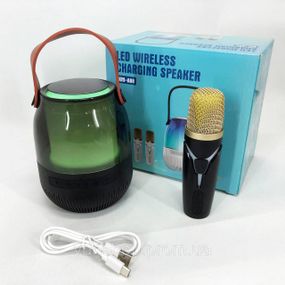 Караоке вечірок, Караоке мікрофон з інтегрованим bluetooth динаміком Колонка MW-22