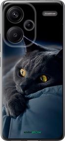 Чохол на Xiaomi Redmi Note 13 Pro Plus 5g Димчастий кіт "825u-3400-2448"