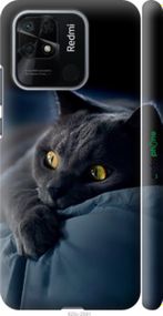 Чохол на Xiaomi Redmi 10C Димчастий кіт "825m-2591-2448"