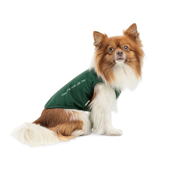 Борцівка Kale ТМ Pet Fashion для собак S зелена | Зображення 1