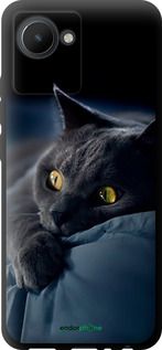 Чохол на Realme C30 Димчастий кіт "825b-2700-2448"