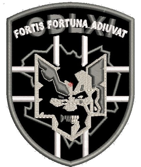 Шеврон CDLXI FORTIS FORTUNA ADIUVAT