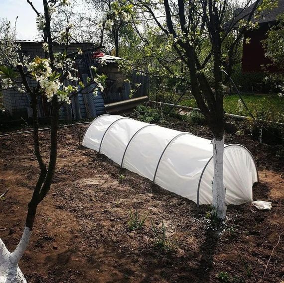 Парник 5 м 60 г/м2 складаний для дачі з білого агроволокна | Зображення 8