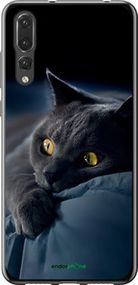 Чохол на Huawei P20 Pro Димчастий кіт "825t-1470-2448"