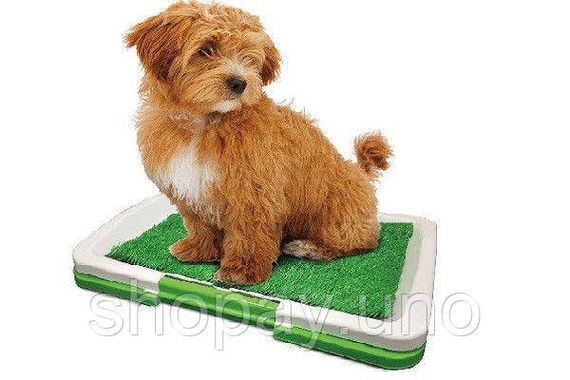 Туалет для собак Puppy Potty Pad MH-872 | Зображення 7