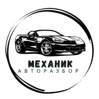 Авторозбірка "Механік" Нікополь