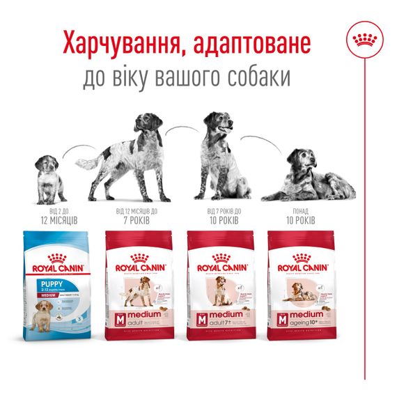 Сухий корм для літніх собак середніх порід Royal Canin Medium Adult 7+, 15 кг | Зображення 4