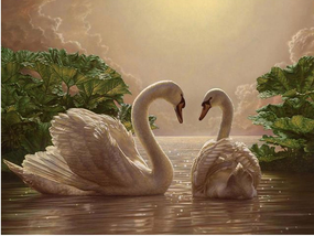 Пара лебедей