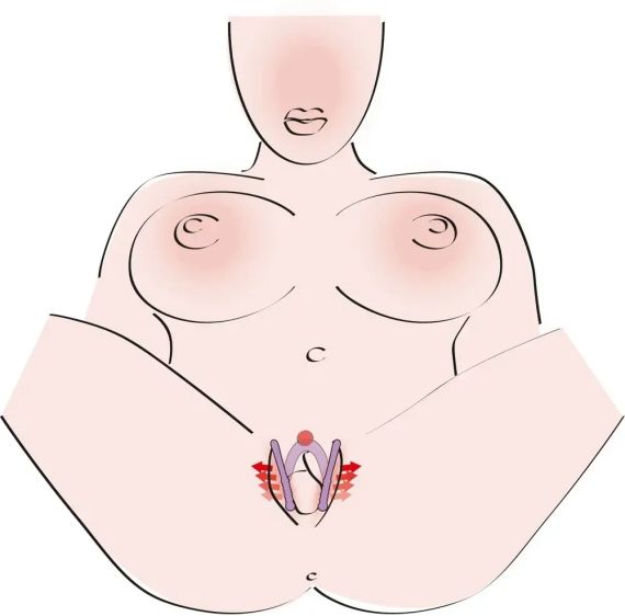 Вагінальний розширювач зі стимуляцією точки G Sex Aura | Зображення 5