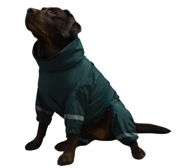 Дощовик для великих собак смарагд MB-1 | Зображення 1