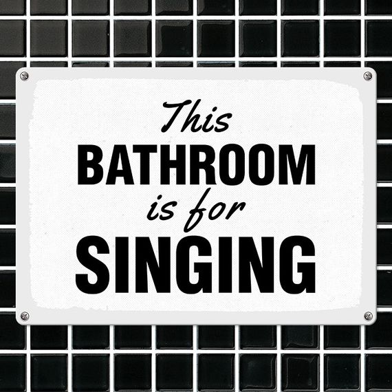 Металева табличка This bathroom is for singing 26х18,5 см (MET_20J005_WH)