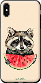 Чохол на iPhone XS Max Єнотик з кавуном "4605b-1557-2448"