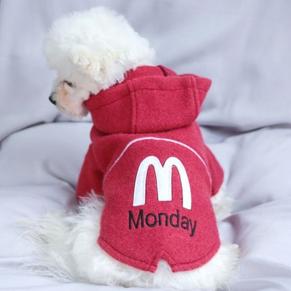 Толстовка для собак PetCircle "Monday " красный | Зображення 2