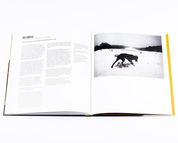 Книга про уличную фотографию Street Photography: A History in 100 Iconic Images: David Gibson (Мягкая обложка) | Зображення 8