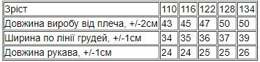 Футболка для хлопчика Носи своє 110 Синій (p-11092-120301) | Зображення 2
