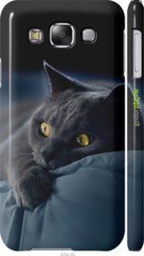 Чохол на Samsung Galaxy E5 E500H Димчастий кіт "825m-82-2448"