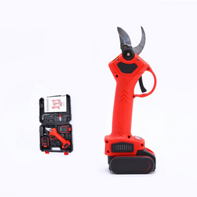 Секатор електричний 48V у валізі з 2 акумуляторами, портативний акумуляторний секатор для саду