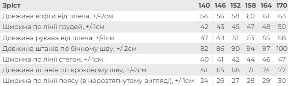 Підлітковий спортивний комплект (світшот та штани), прямого крою Носи своє 140 Графітовий (p-16376-212747) | Зображення 3