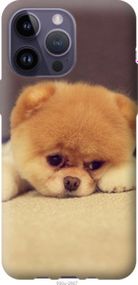 Чохол для Apple iPhone 14 Pro Max з силікону FCh_037143