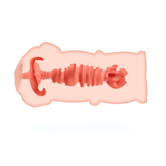 Мастурбатор вагіна Crazy Bull Lillian тілесний, 13 см sexstyle | Зображення 3